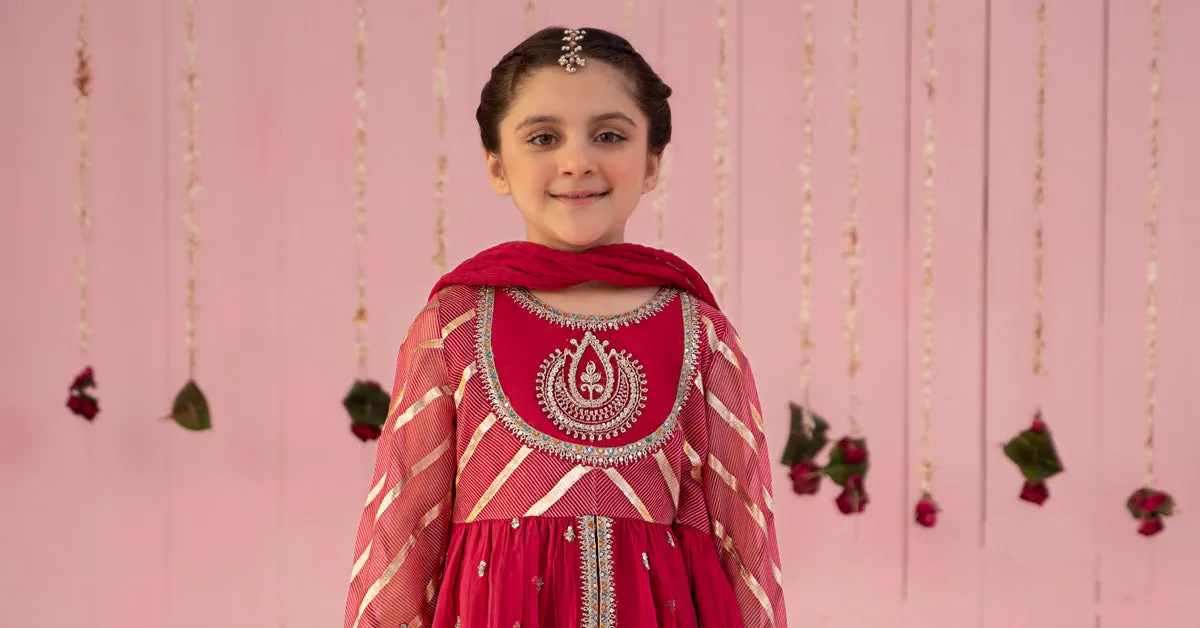 3 Piece Embroidered Organza Suit | MKS-EF24-27