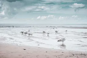 Atlantic Beach