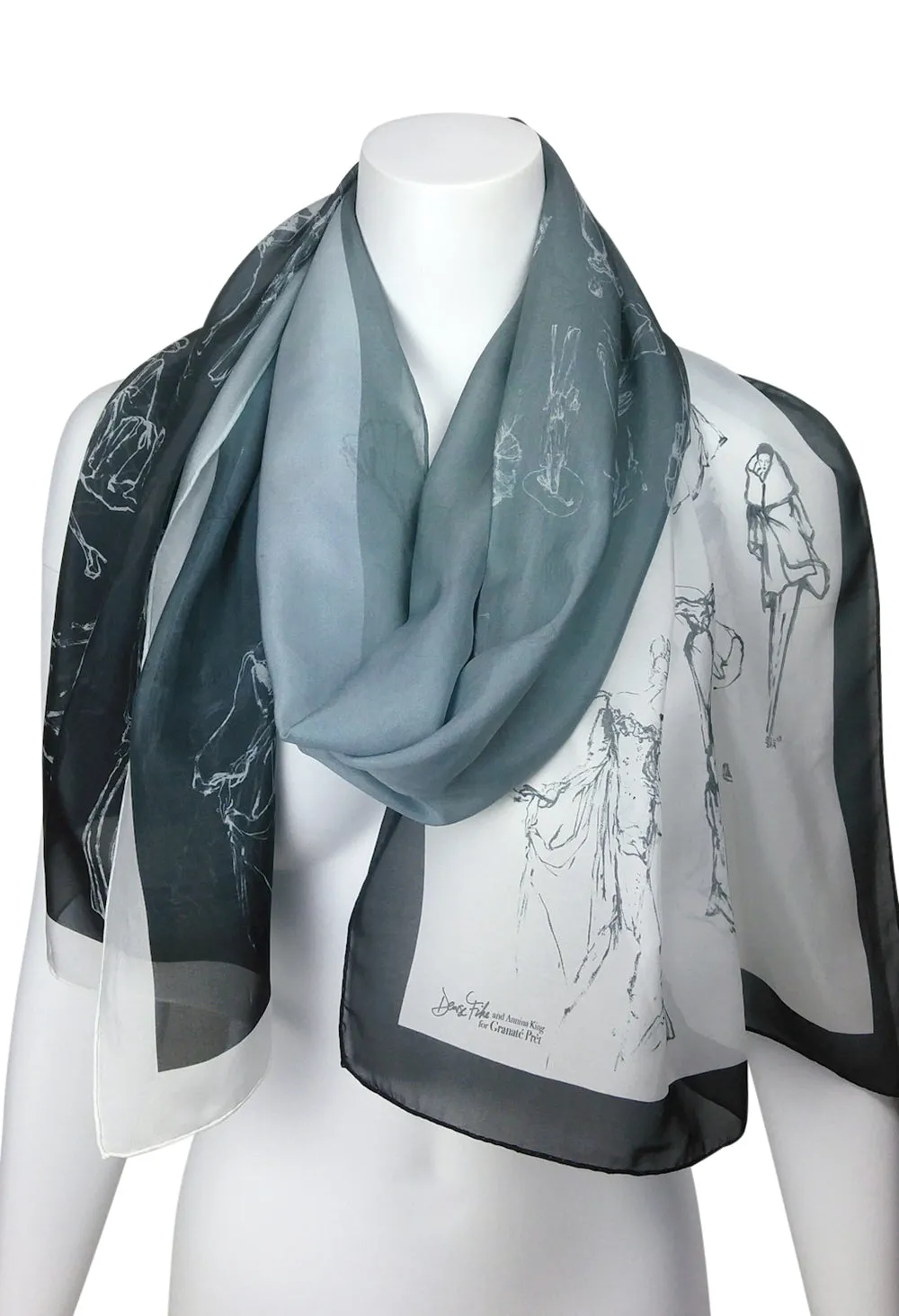 Fashion Procession Ombre Silk Scarf