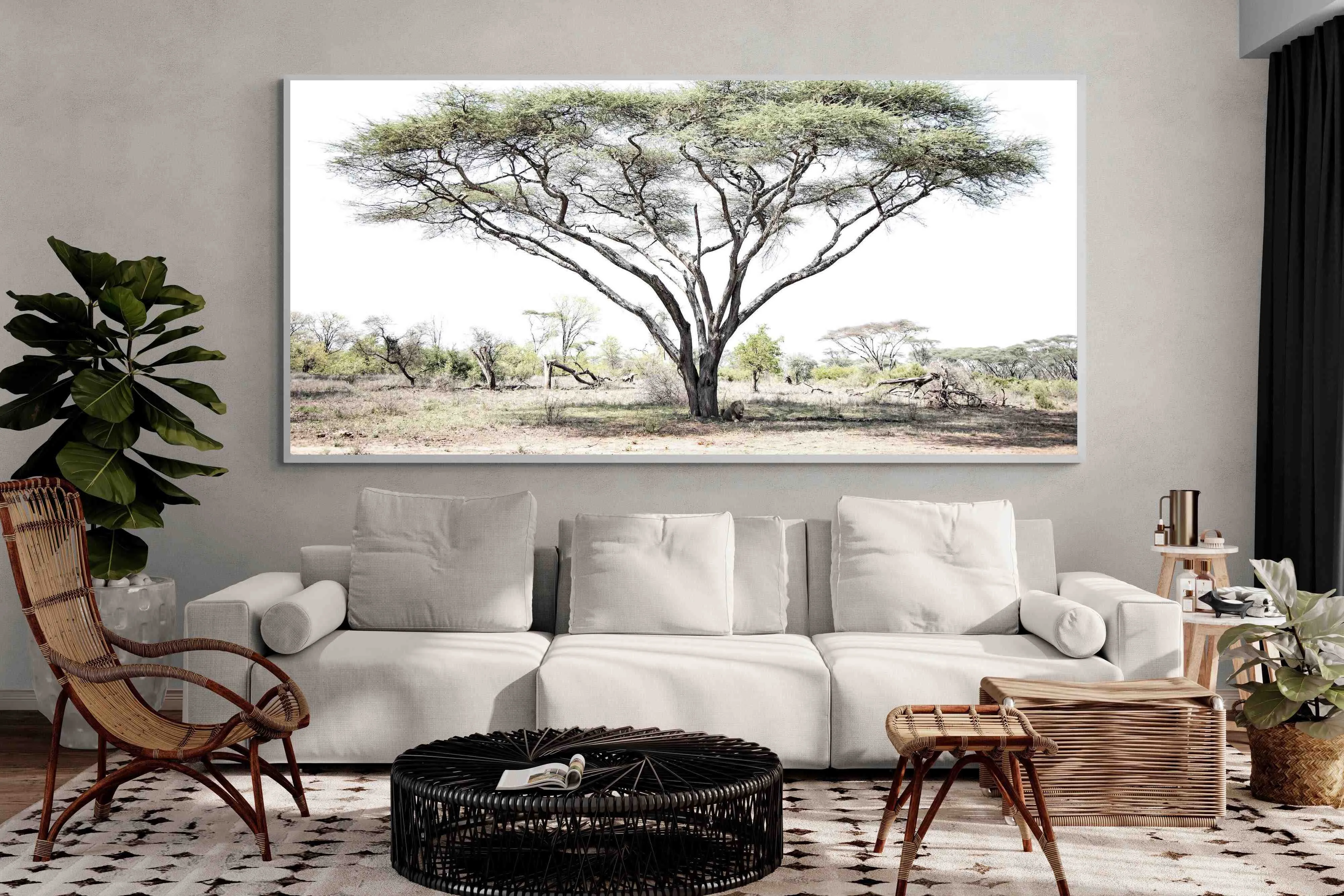 Lion Under Umbrella Tree