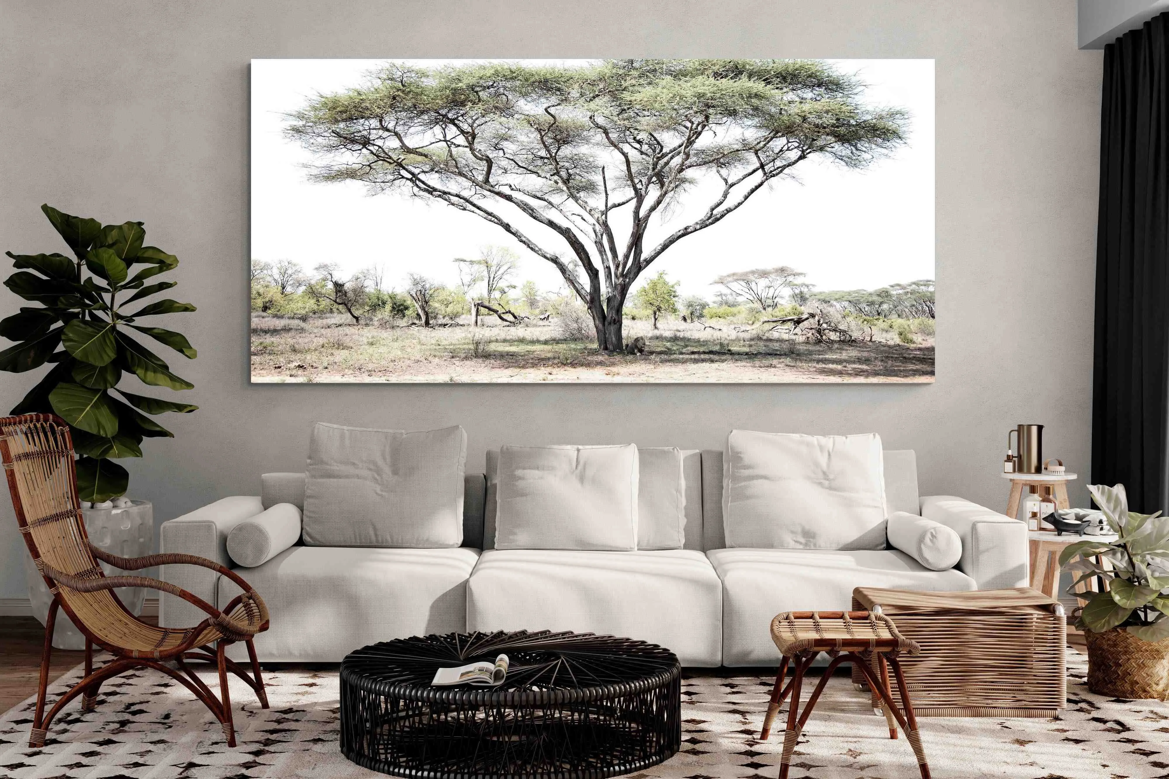 Lion Under Umbrella Tree