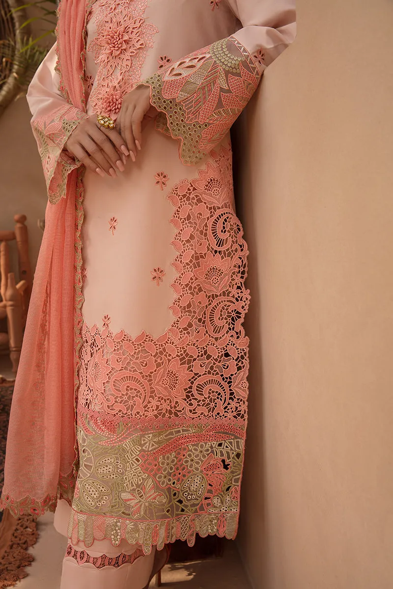 Rang Rasiya Premium Eid Lawn Collection – Marganite