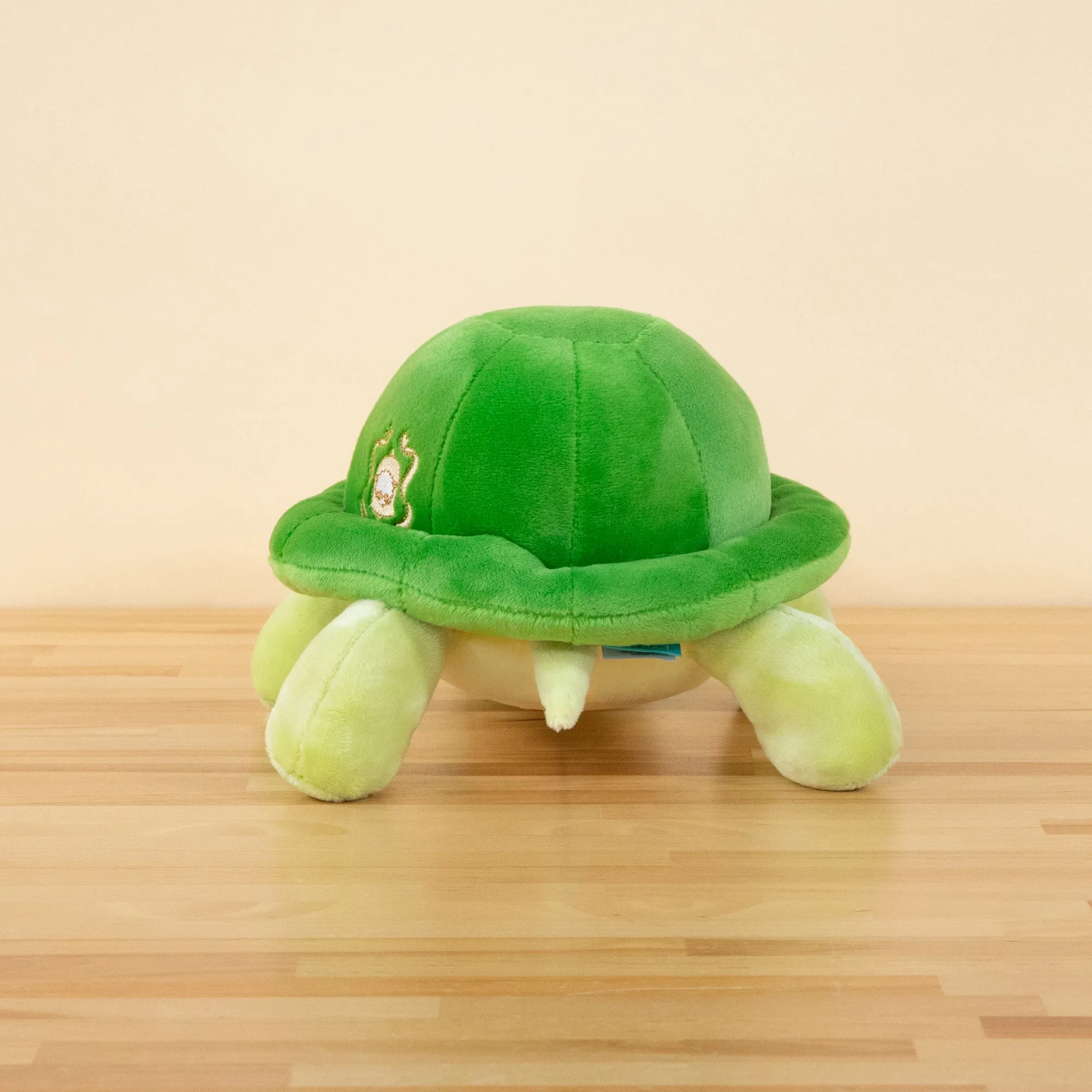 Torti the Tortoise