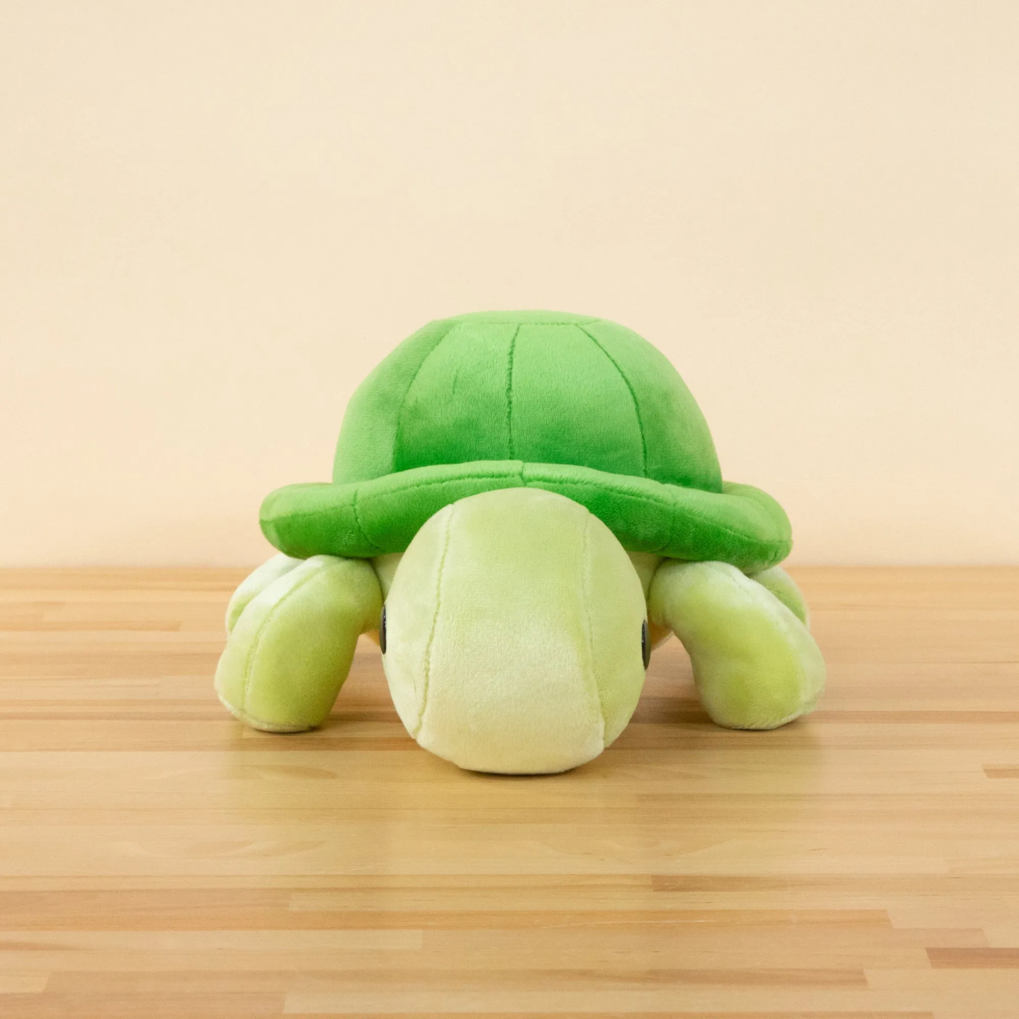 Torti the Tortoise